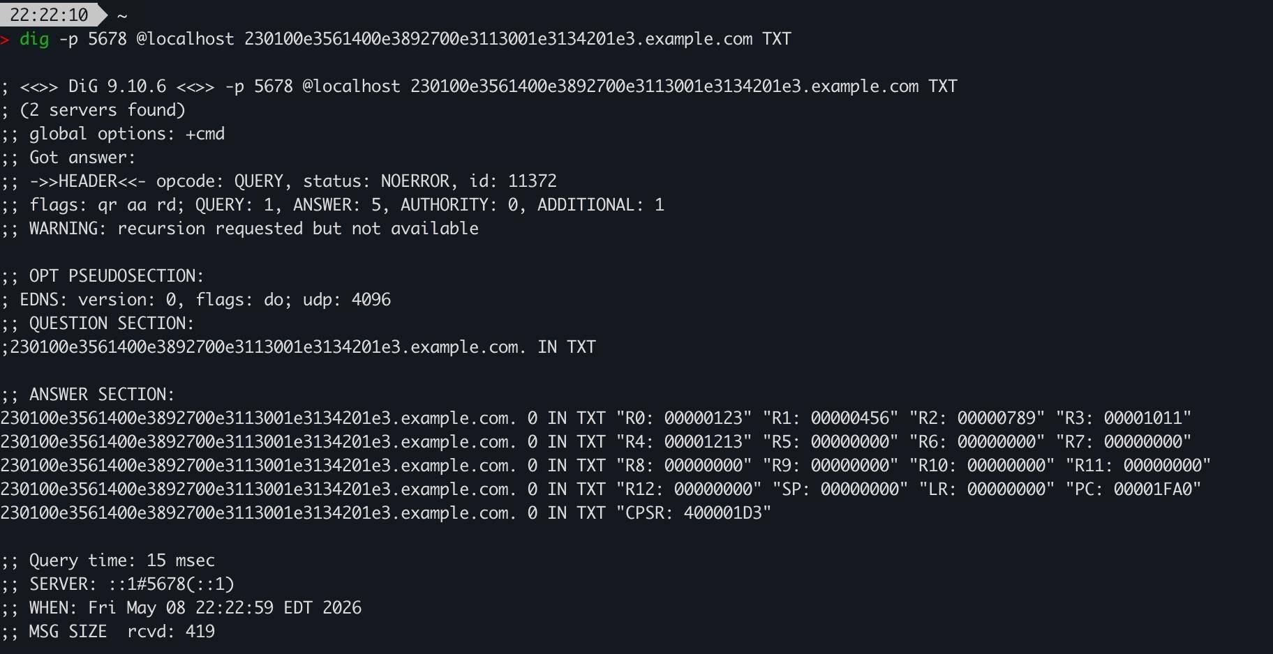The “dig” command is run in a terminal, resolving a subdomain whose hex bytes represent a series of ARM “mov” instructions.

TXT records are returned, showing current register state.